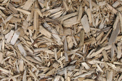 biomass boilers Lugton